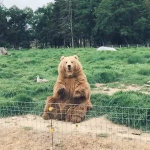 Meet your Posher, Joe